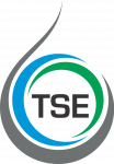 03_Logo TSE_preferencial_color